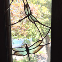 Dragonflies